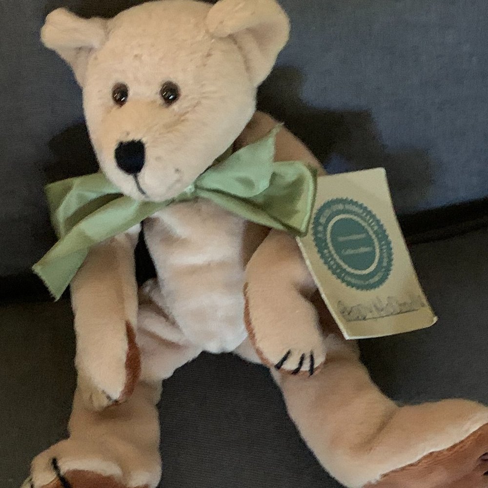 Boyds Bear "Paddy McDoodle" - Picture 3 of 7